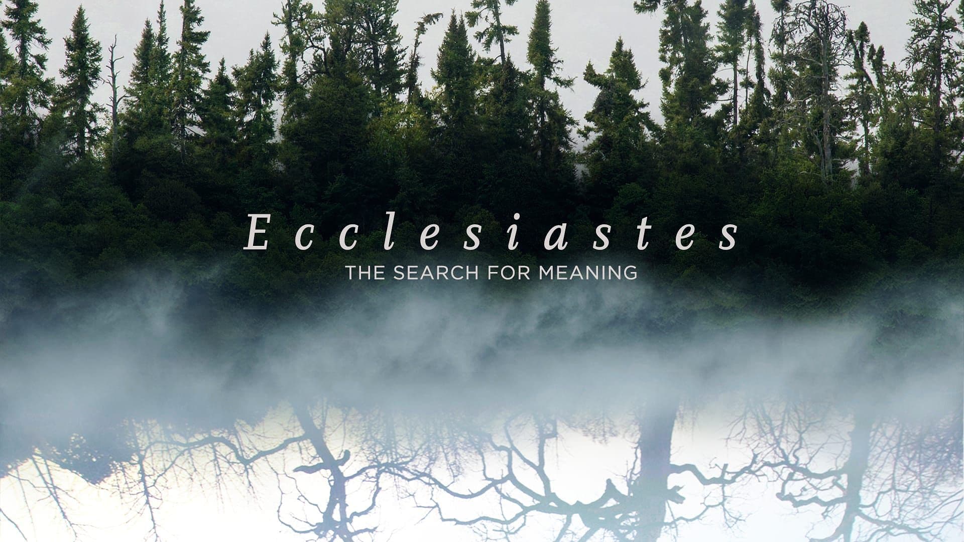 Ecclesiastes: The Search for Meaning