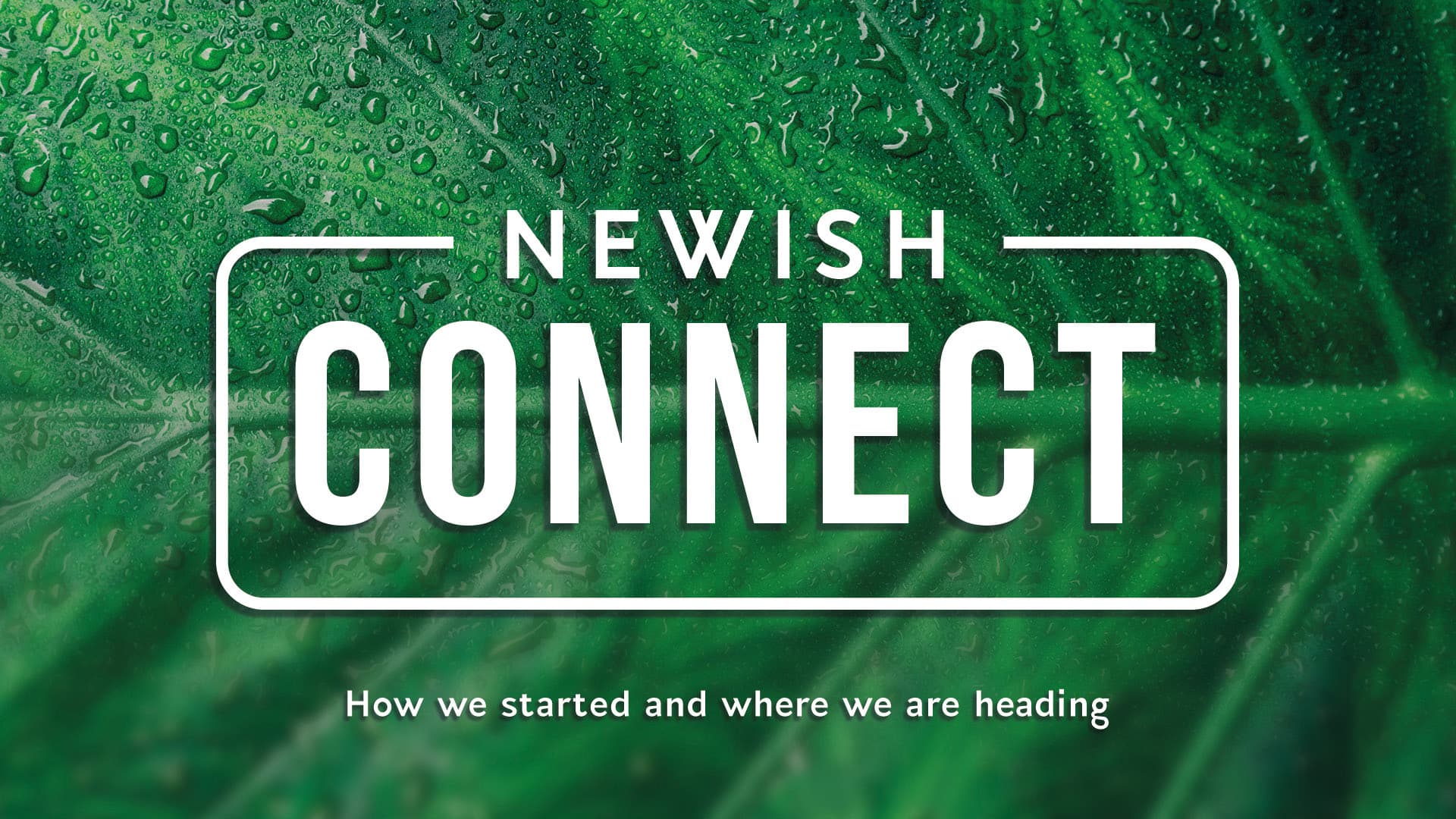 People connecting at Newish Connect event at Ev Church Auckland